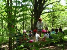 Asturias con niños: El viaje de las semillas continúa en El Bosque 